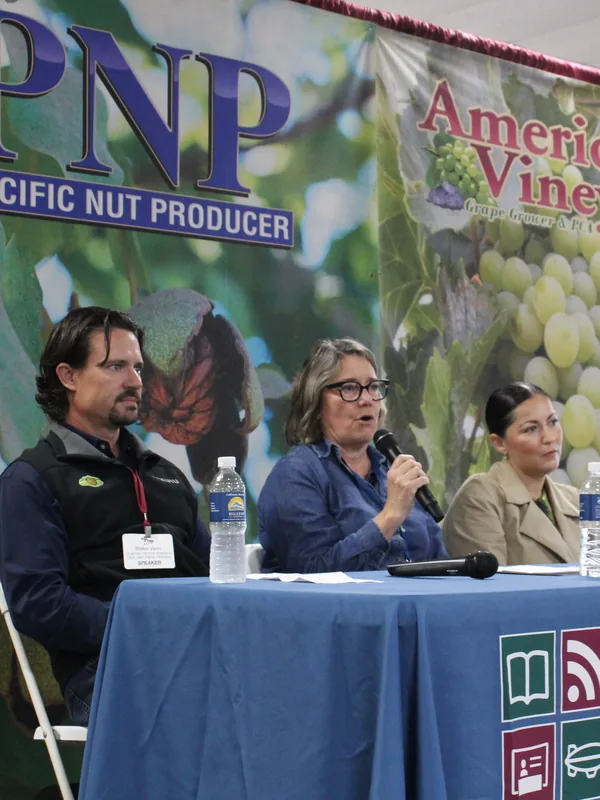 A panel session in the seminar hall