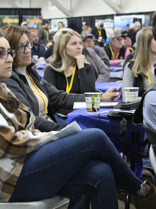Attendees at the lunch tables